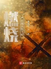 燃烧在战火纷飞 燃烧在战火纷飞